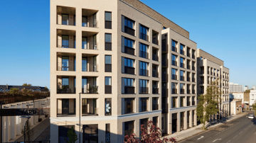 Higgs Yard Market Sale