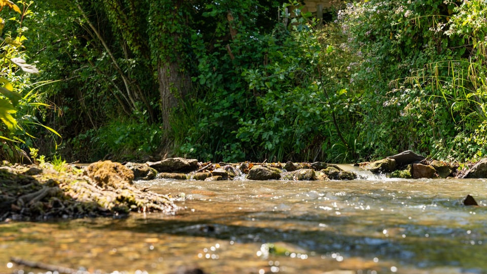 A view of a stream near Winchcombe.