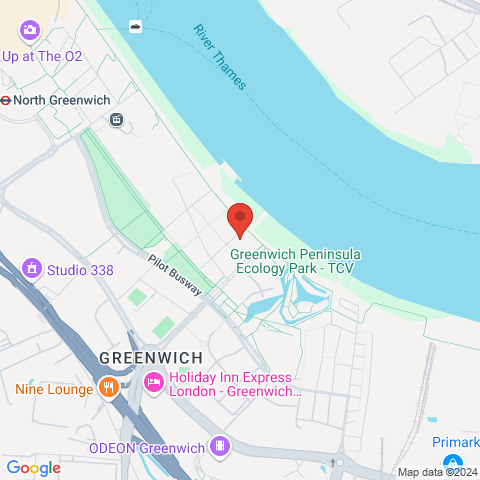 17 Bessemer Place map