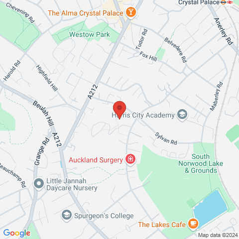 90 Sylvan Hill map