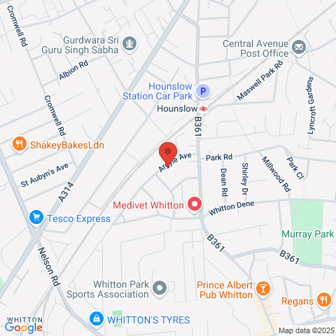Argyle Avenue map