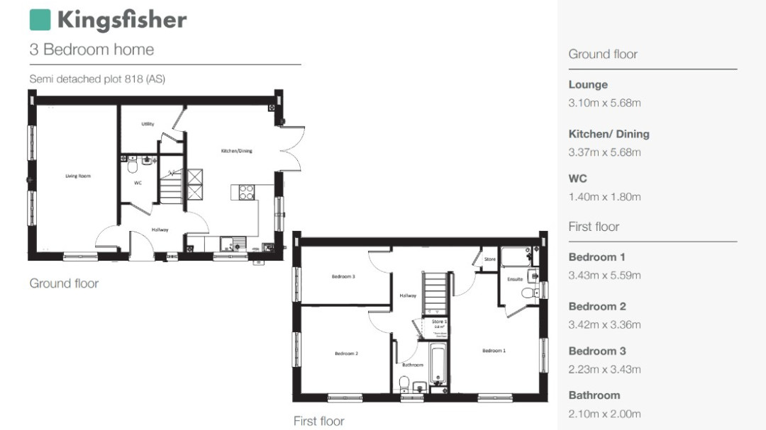 818 - The Kingfisher